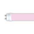 VIG-TUBE T8 ROSE